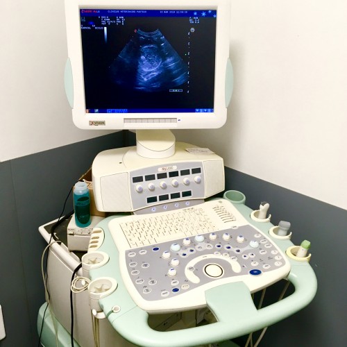 0007-echographie