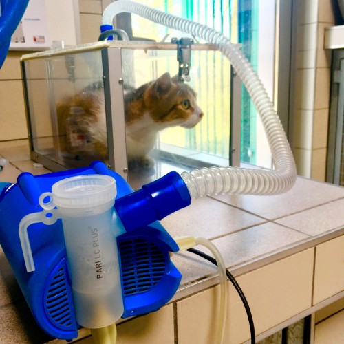 0022-oxygenotherapie